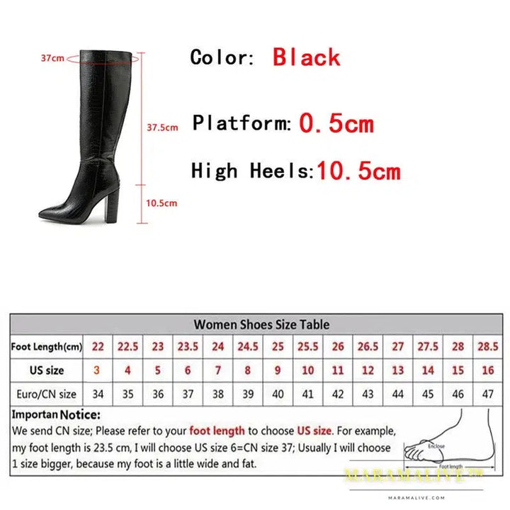 Black Knee High Boots Women Square Heels Casual Winter Motorcycle Long Shoes Pointed Toe Zip Fashion Cool Knight Bootties