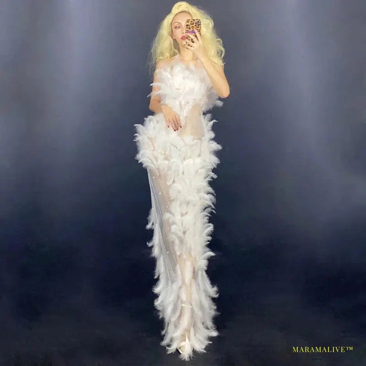 Luxury See-Through Rhinestone Feather Dress - Gothic Fashion Long Bandage Dress for Singers, Dancers, DJs, Rave & Drag Queens