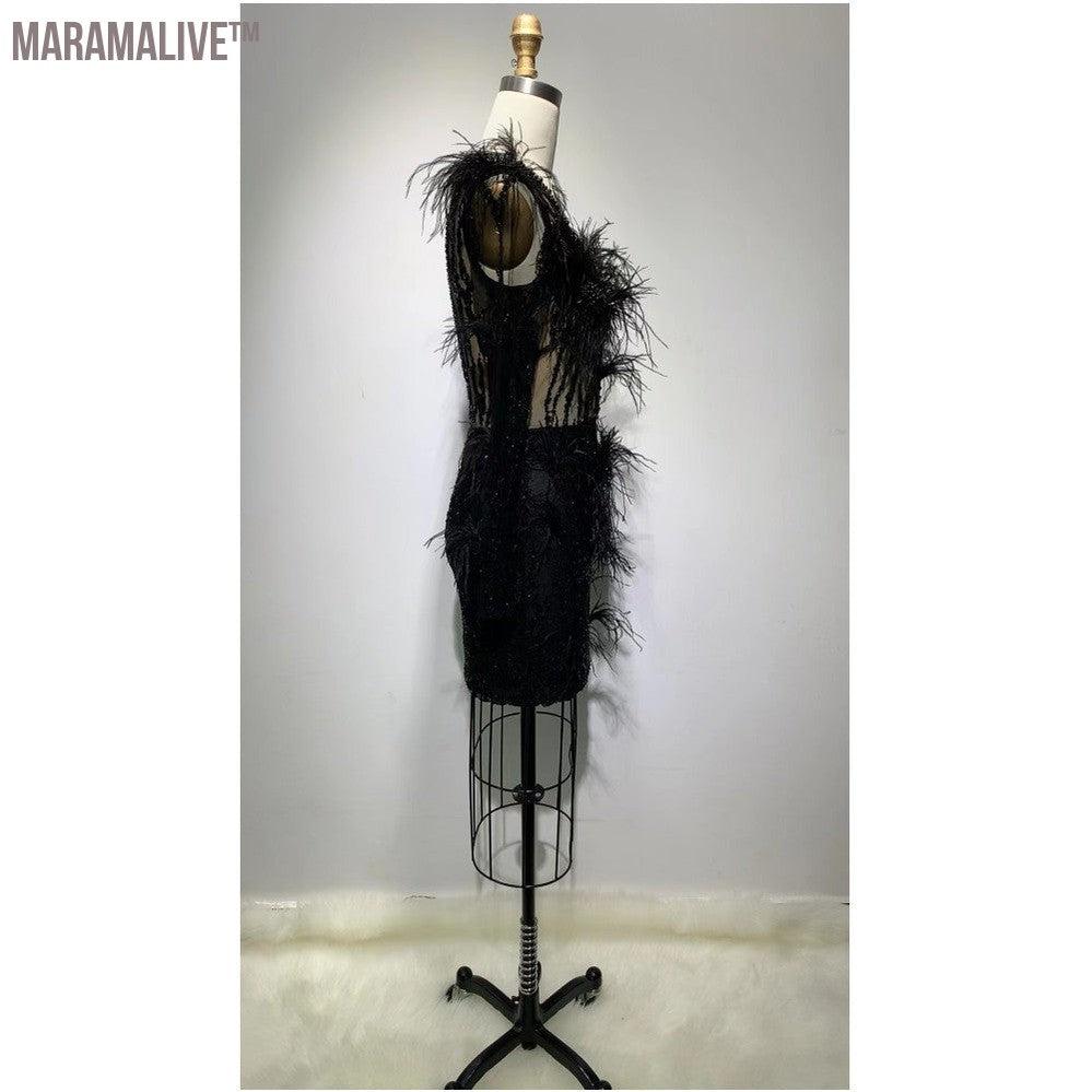 Mesh Long-sleeved Sequin Feather Casual Dress