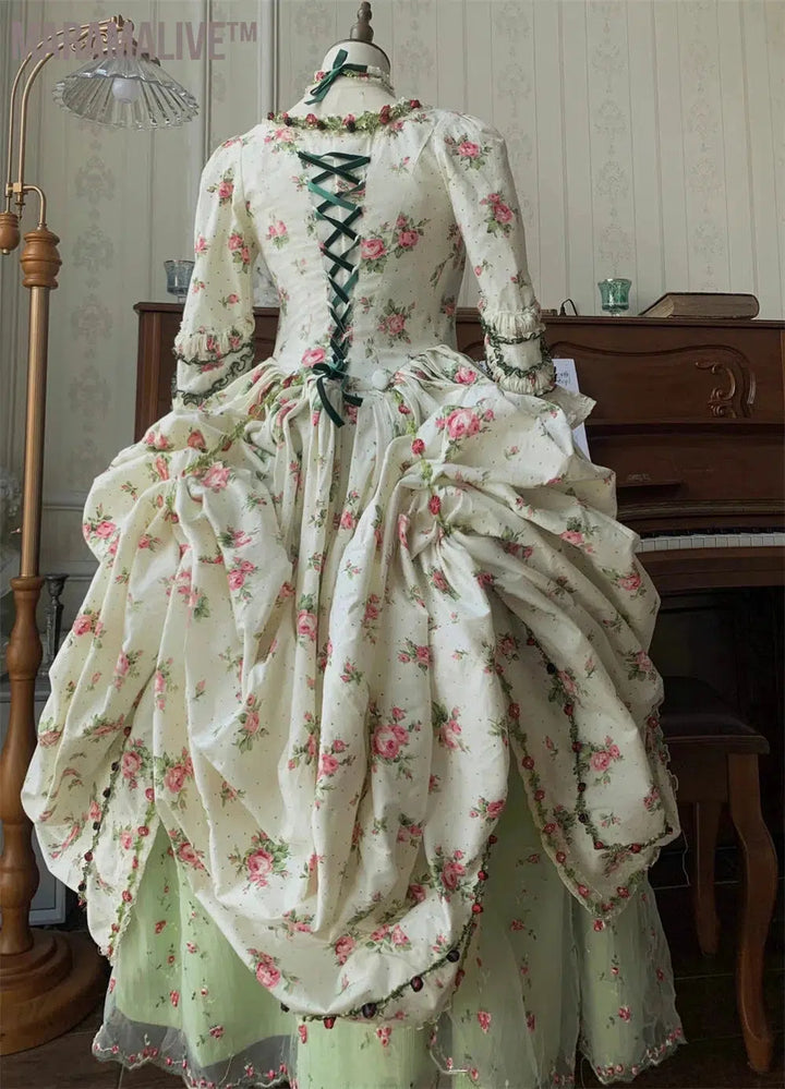 Robe A La Francaise 18th Century Robe De Bal Rococo Marie Antoinette Ball Gown Medieval Romantic French Court Dress for Women