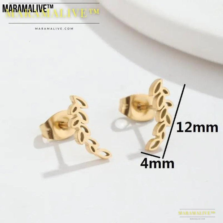 Stainless Steel Studs Simple Hollow Wheat Earrings For Women