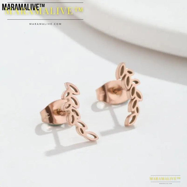 Stainless Steel Studs Simple Hollow Wheat Earrings For Women