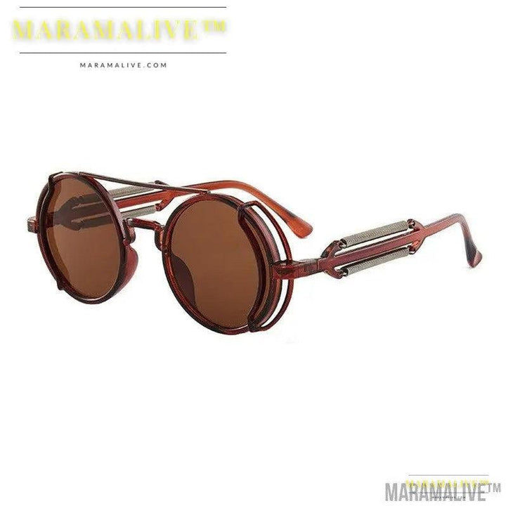 Steampunk Double Spring Leg Sunglasses