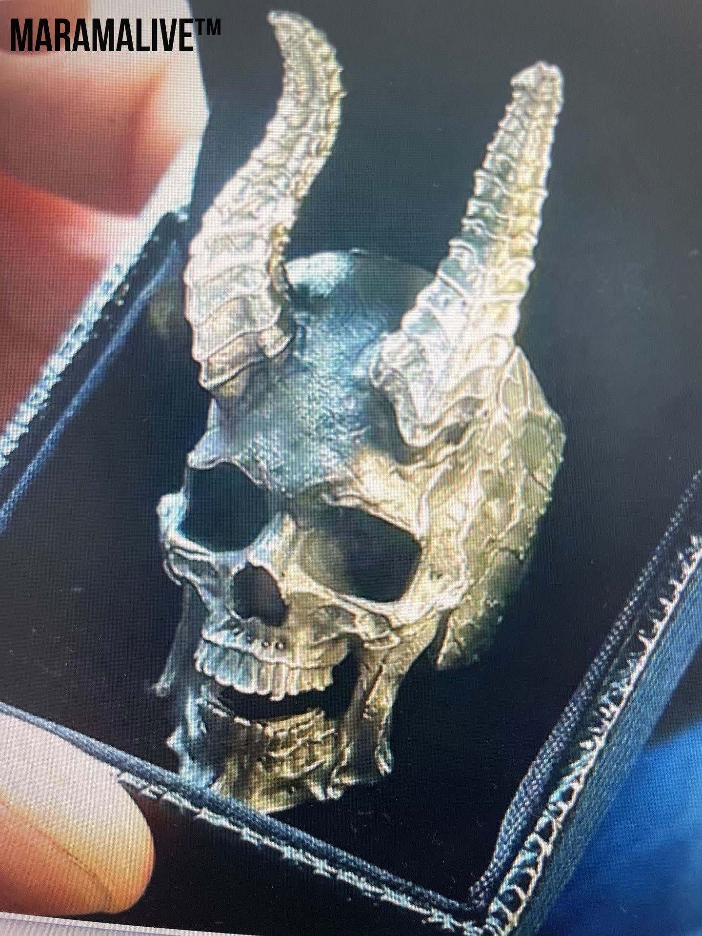 Vintage Punk Style Skull Men's Ring